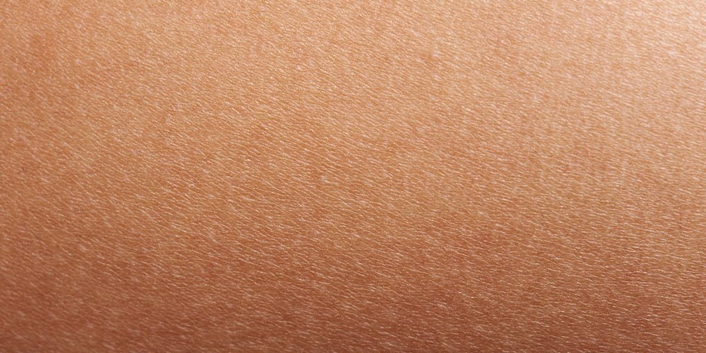 Acne Article - main image